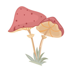 Vector clipart with mushrooms. Illustration of cozy mushrooms.