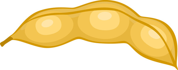 Soy bean pod with seeds and dry husk, closed soya