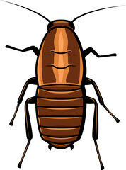 Oriental cockroach, waterbug or black cockroaches - obrazy, fototapety, plakaty