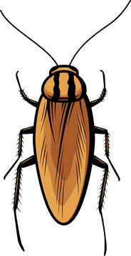 German Roach, Cartoon Cockroach Pest, Croton Bug