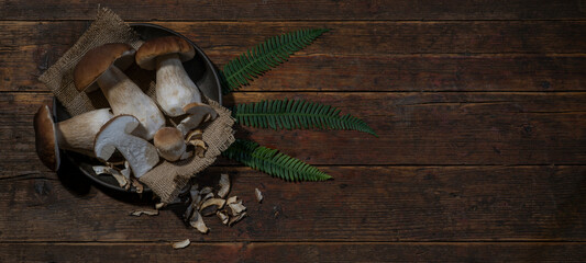 Dark food photography background - Forest mushrooms / Boletus edulis (king bolete) / penny bun /...