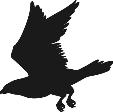 recommend clip art: Black silhouette of falcon, eagle or hawk icon