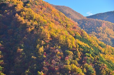 秋の山梨