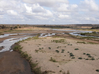 Kruger national park 