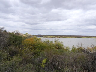 Kruger national park 