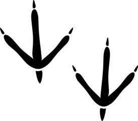 Turkey bird imprints, raven feathered animal trace