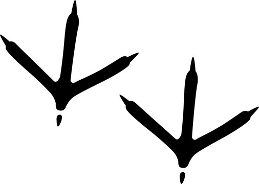 Foot prints of bird animal, chicken turkey marks