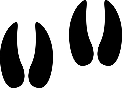 cow footprint