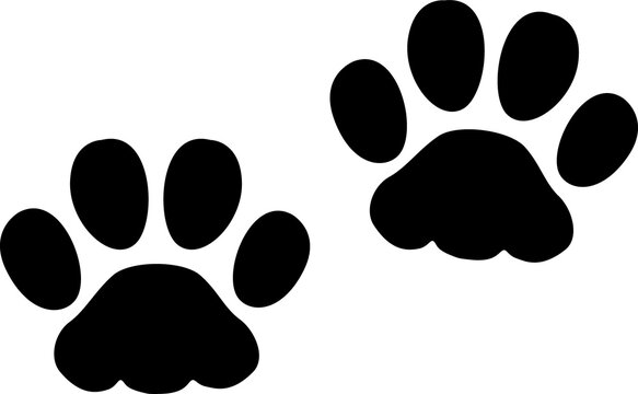 Cat or dog animal paw imprints, steps trail print
