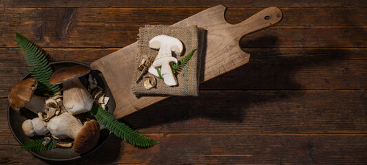 Dark food photography background - Forest mushrooms / Boletus edulis (king bolete) / penny bun /...