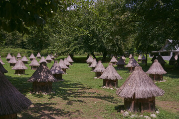 Bee hives with thatched roofs stand in rows among the trees in the apiary. - Powered by Adobe