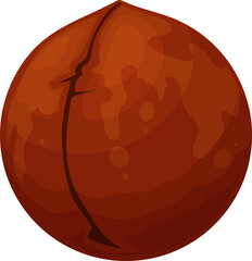 Isolated macadamia nut, whole vector cracked seed