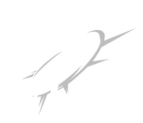 Bomb burst explosion isolated blasting clouds icon