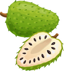 Sour apple soursop exotic tropical fruit isolated