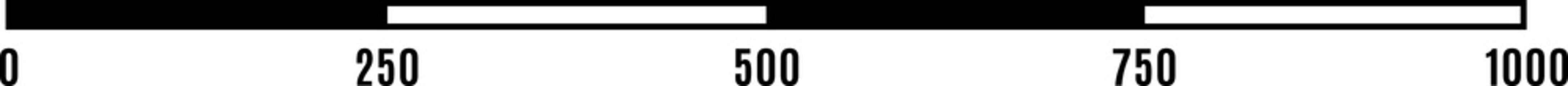 Size indicator isolated horizontal measure scale