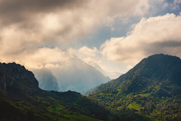 Obraz na płótnie Canvas mountain landscape covered by mist in asturias, spain, picos de europa national park