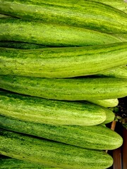 Fresh green cucumbers at the Korean open market