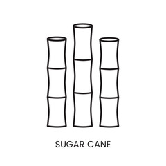 Sugar cane linear icon in vector, illustration of the plant from which sugar is made.