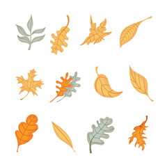 Fototapeta na wymiar Cute vector set of leaves. Hand drawn vector illustration. Autumn elements for greeting cards, posters, stickers and seasonal design.