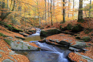 mountain river in autumn forest