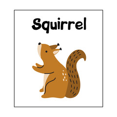 Animal card SQUIRREL for kids. Educational preschool cards for learning animals. Learn animal name for kids.