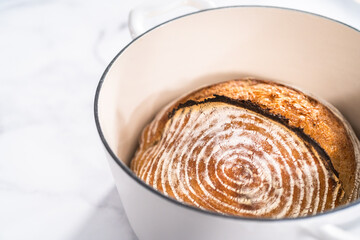 Wheat Sourdough Bread