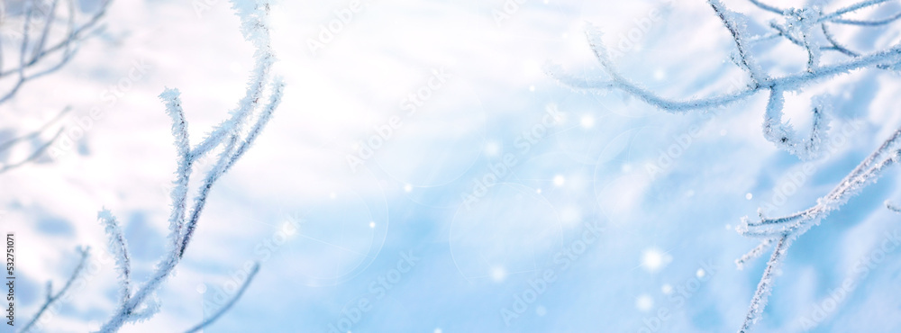 Poster Beautiful background panoramic image of winter nature - tree branches covered with prickly frost on a background of pure snow, with space for text.