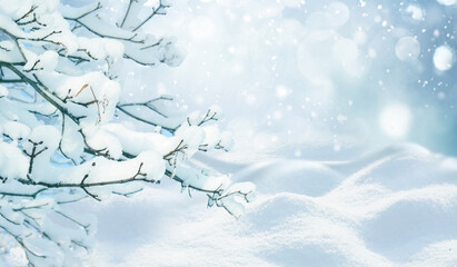 Beautiful composition of winter nature - tree branches covered with snow against the background of snowdrifts and light snowfall.