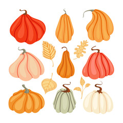 Cute vector autumn set with different pumpkins and autumn leaves. Hand drawn vector illustration for greeting cards, posters and seasonal design.