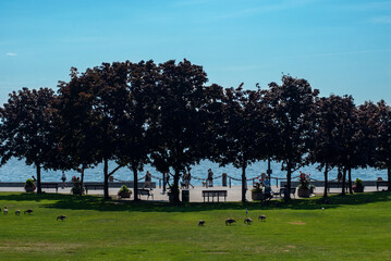 Obraz premium A view of the lake from Spencer Smith park in Burlington in Canada. People are walking along the embankment. Canadian geese walking on the lawn.