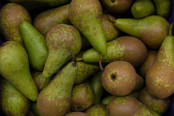 close-up of ripe organic pears after harvesting