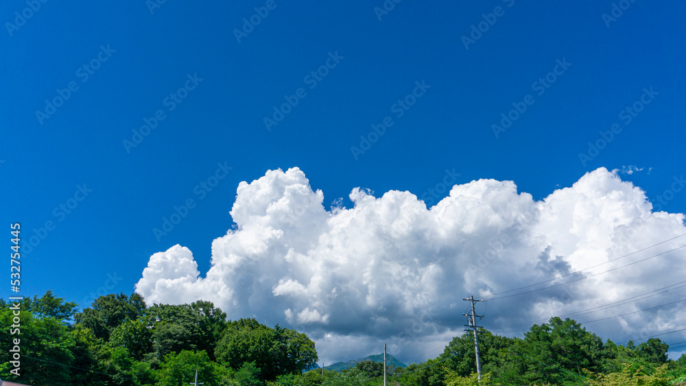 Poster 緑の森と青空の風景