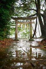 雨の薦神社 鳥居（大貞八幡薦神社）大分県中津市