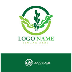 Seaweed vector logo icon illustration design.includes seafood,natural products,florist,ecology,wellness,spa.