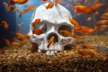skull under water