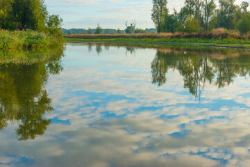 The edge of a lake with reed and withered wild flowers in wetland in sunlight at sunrise at fall, Almere, Flevoland, The Netherlands, September, 2022