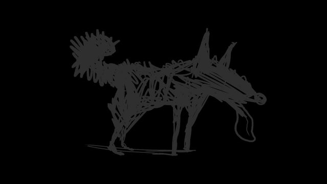 black and white wolf