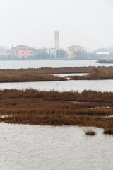 Lio Piccolo lagoon near Venice Italy