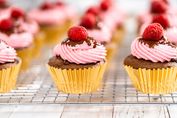 Chocolate raspberry cupcakes