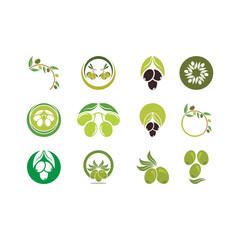 Olive logo images illustration