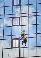 Industrial mountaineering worker washing glass windows of high-rise building, hanging on safety climbing ropes. Professional window cleaners working together outside skyscraper.