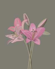 Bouquet lilies on a green background. Minimalist style