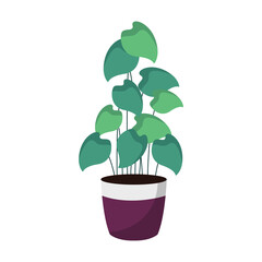 Pot plant Illustration

