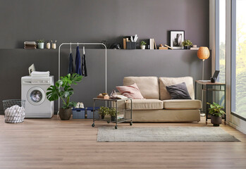 Grey wall room interior concept, sofa, vase of plant, washing machine, dry machine, carpet and laundry style.