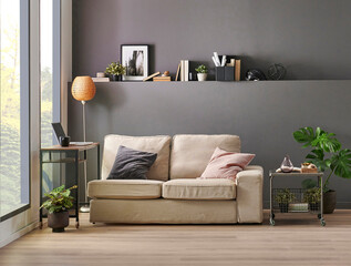 Grey wall room interior concept, sofa, vase of plant, washing machine, dry machine, carpet and laundry style.