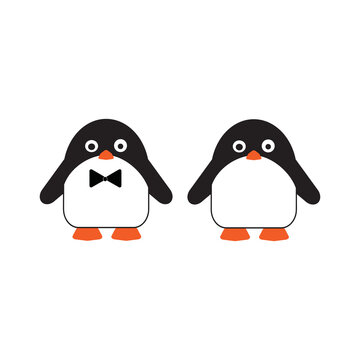 Penguin cute illustiration animal cartoon