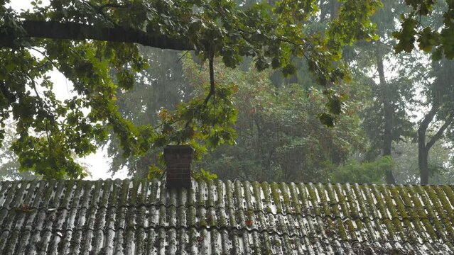 Pouring rain is falling in the city. Roof of house with chimney is covered with green moss. Big branch of old oak leans over roof. One minute UHD 4K 60fps video with ASMR sound of rain and thunder