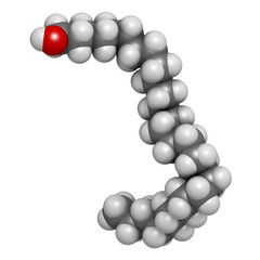 Octacosanol plant wax component molecule. 3D rendering.  long chain fatty alcohol, present in e.g. the waxy cover of eucalyptus leaves. Main constituent of policosanol nutritional supplement.