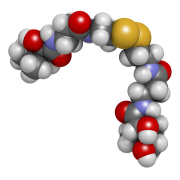Pantethine (dimeric vitamin B5) molecule. 3D rendering.  Used in dietary supplements.