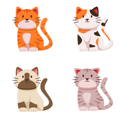 Vector set of illustration with happy cute different cat character isolated in white color background. sitting cat vector collection